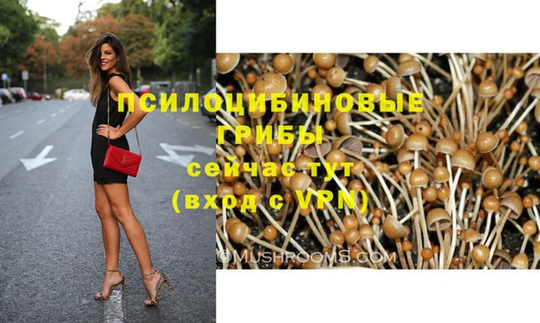 дмт Богородицк