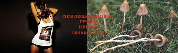 дмт Богородицк