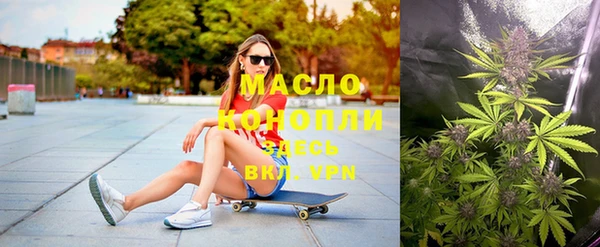 дмт Богородицк