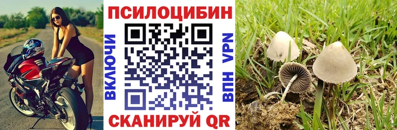 наркотики  Окуловка  Псилоцибиновые грибы мицелий 